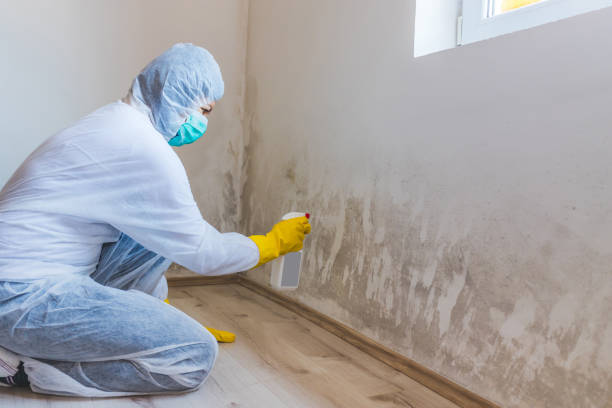 Licensed Mold Testing service in Oxford, PA - WQB Mold Removal